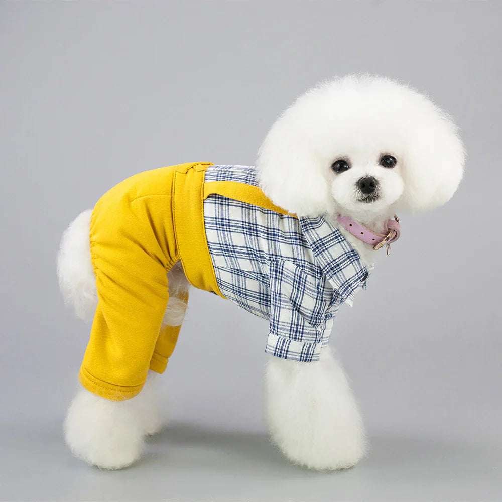 Pet Apparel