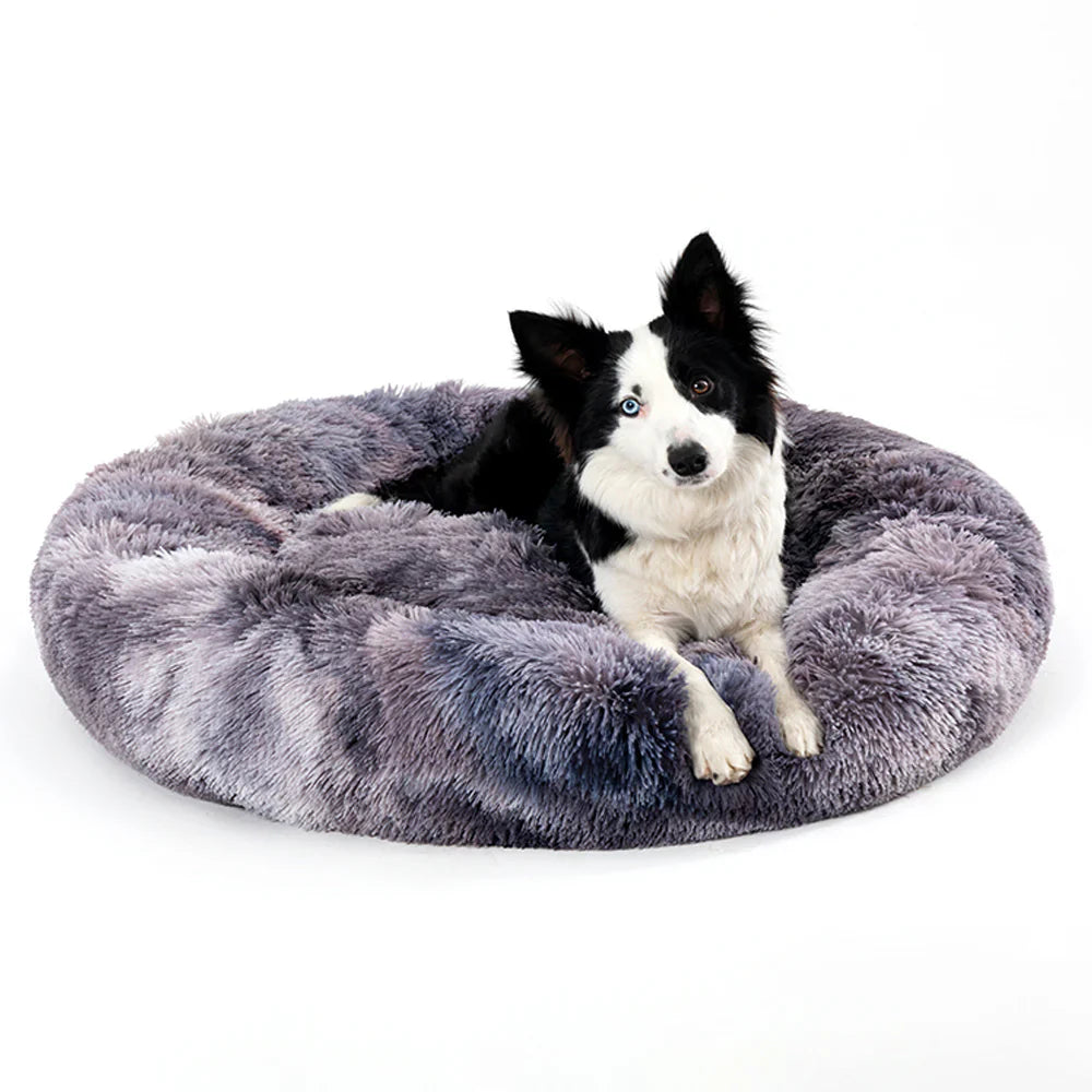 Pet Bedding