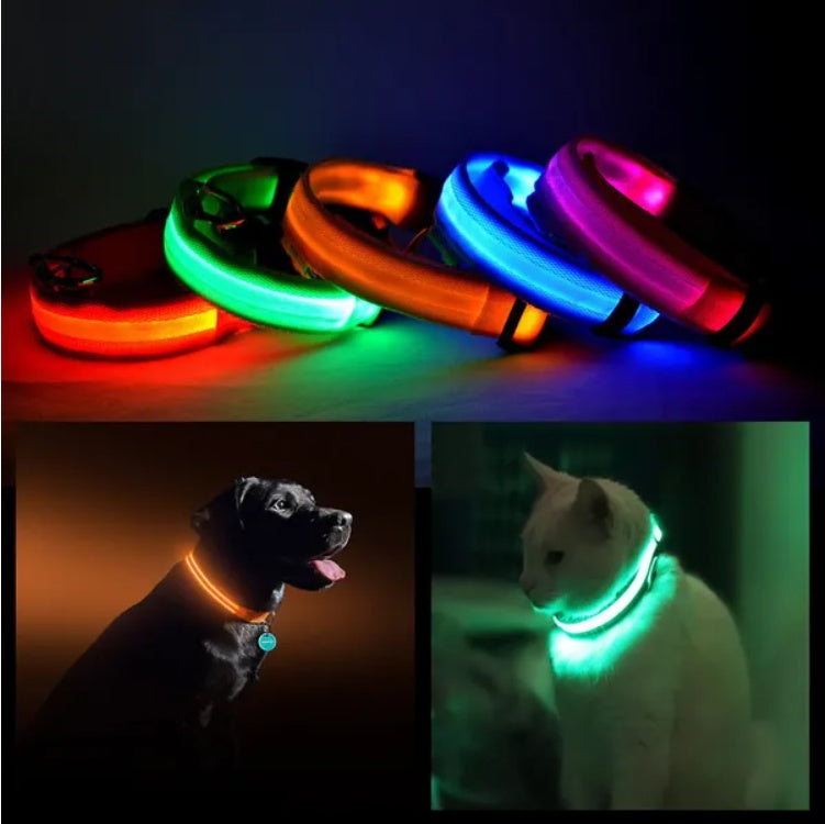 LED Pet Collar Halo Style