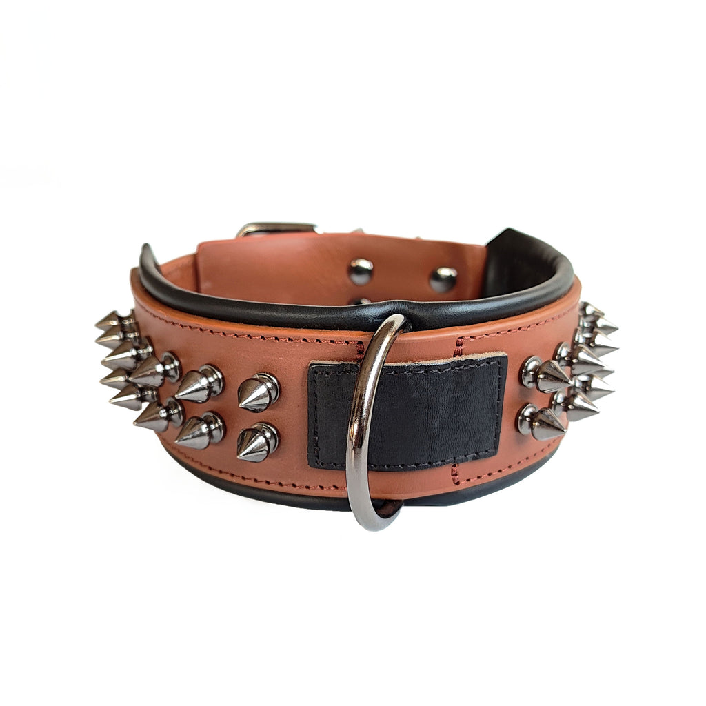 Leather Dog Collar with Spikes