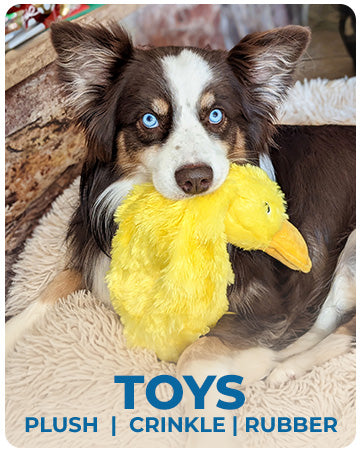 Dog Wrinkle Toy