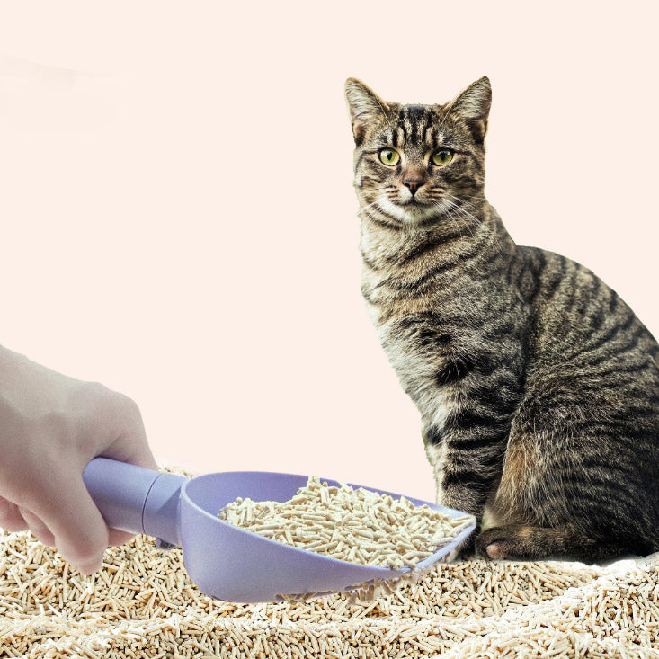 Cat Litter Scoop with Mountable Base
