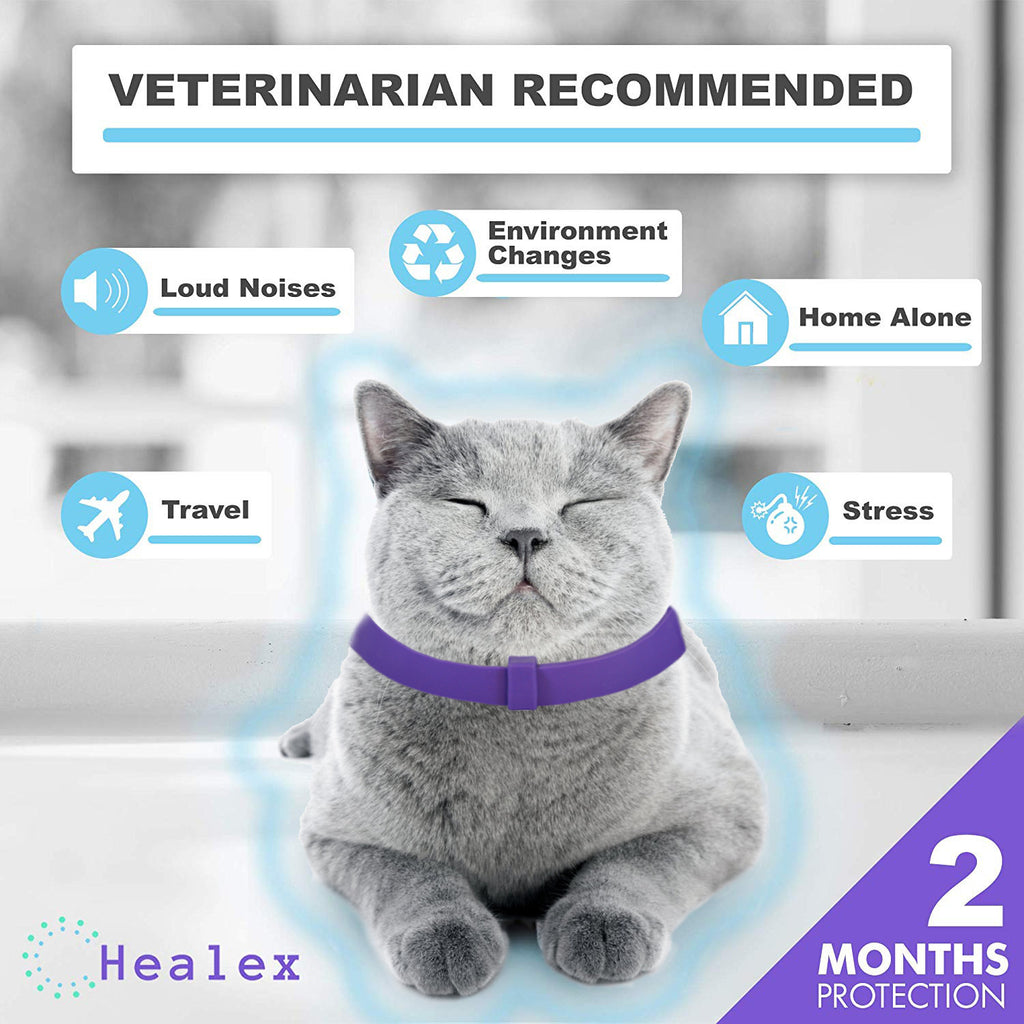 Cat Calm Comfort Collar