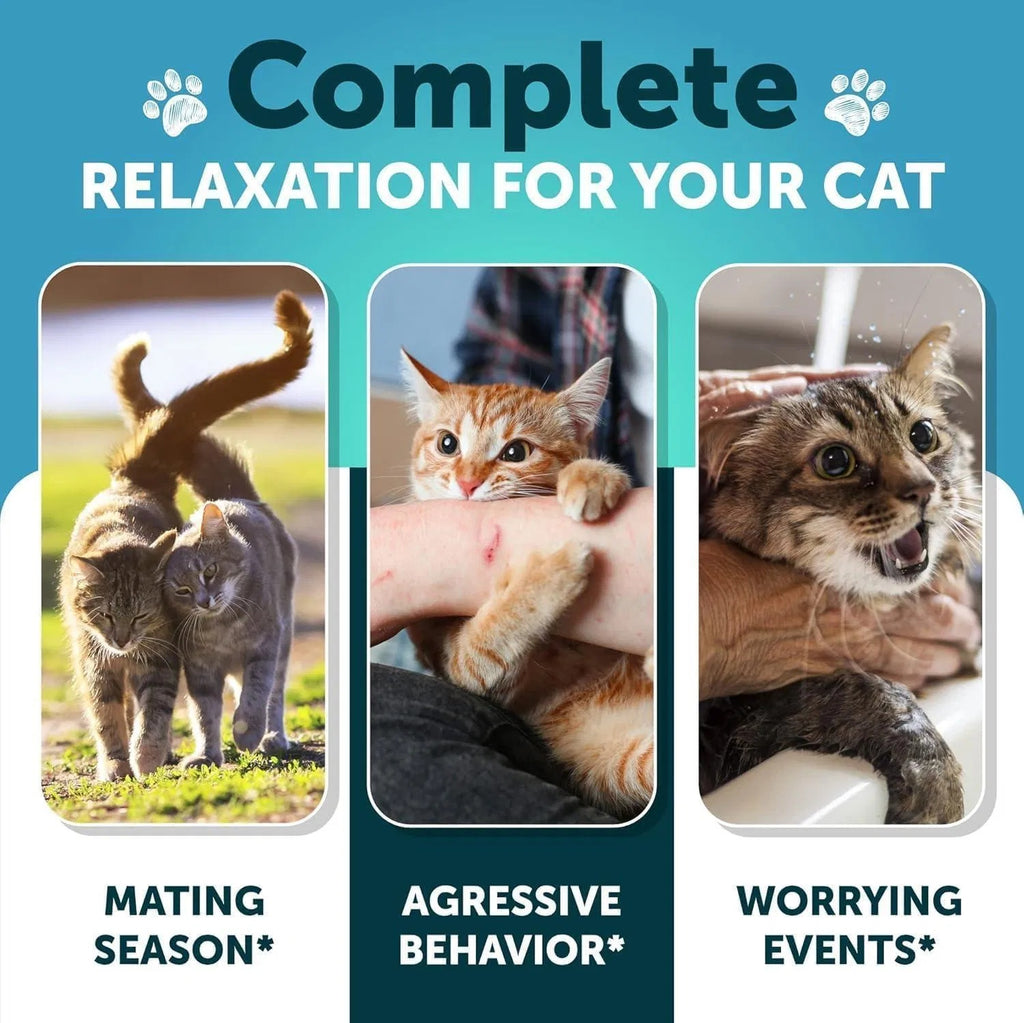 Hemp Cat Calming Treats For Stress & Anxiety Relief
