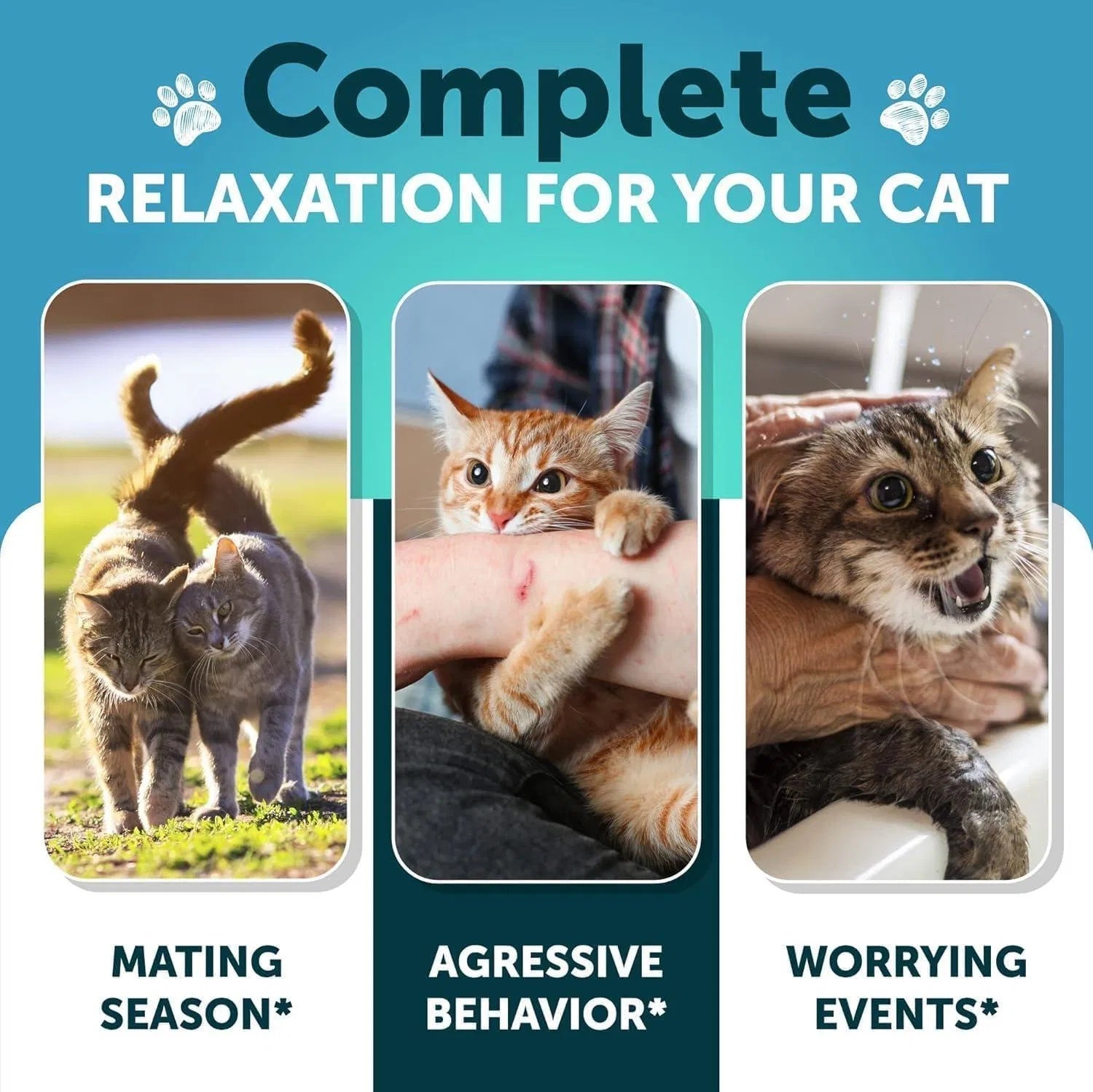 Hemp Cat Calming Treats For Stress & Anxiety Relief