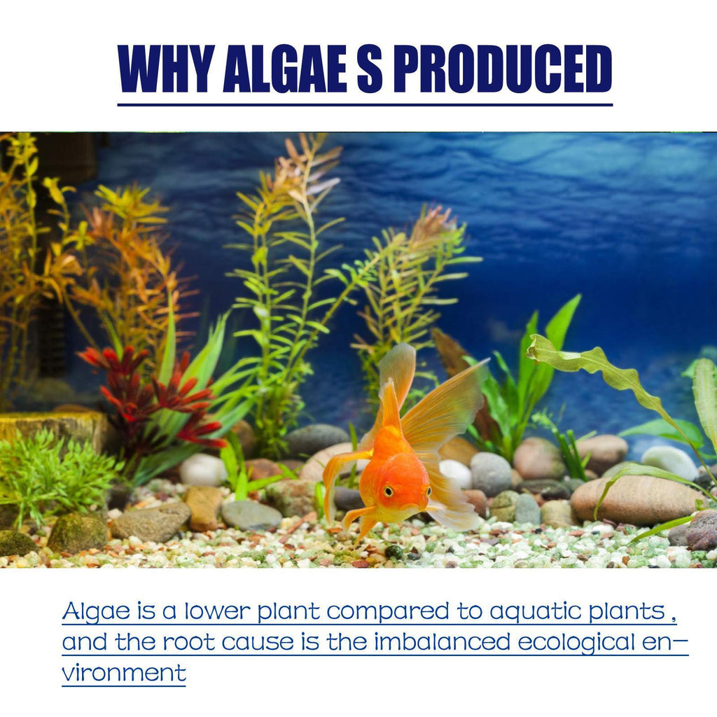 Igbondigal Lichen Fish Tank Cleaning Supplies Algaecide To Remove Moss And Green Water Algae