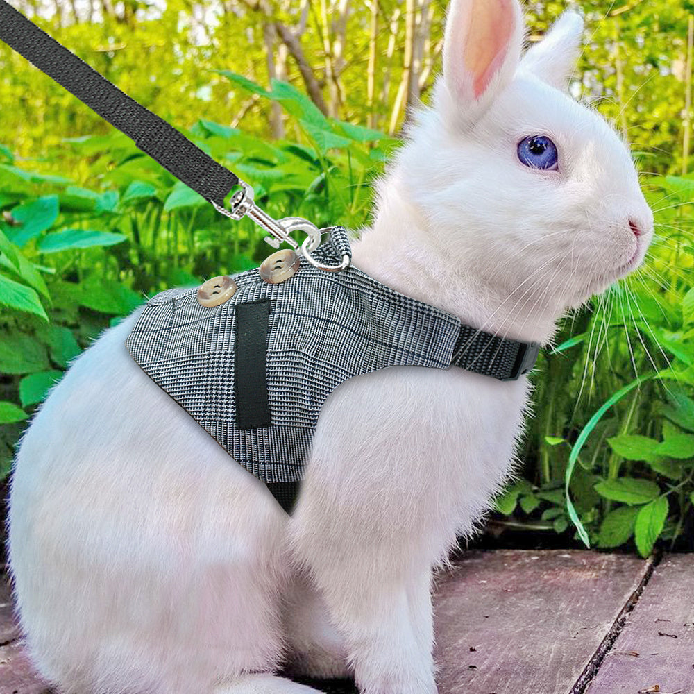 Rabbit leash rabbit dress pet leash