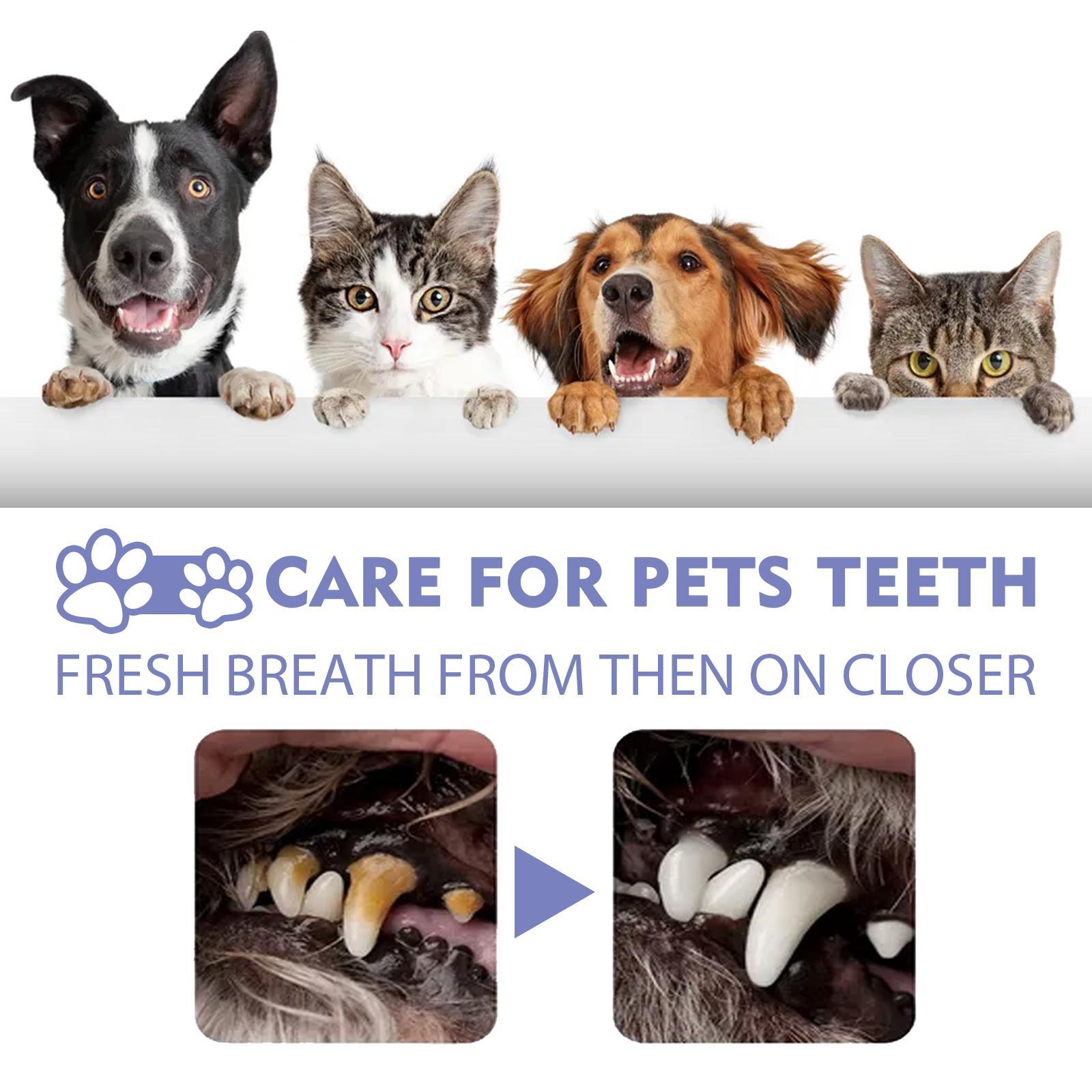 Pet Cat And Dog Teeth Cleaning Spray Pet Oral Cleaning Deodorizing Fresh Breath