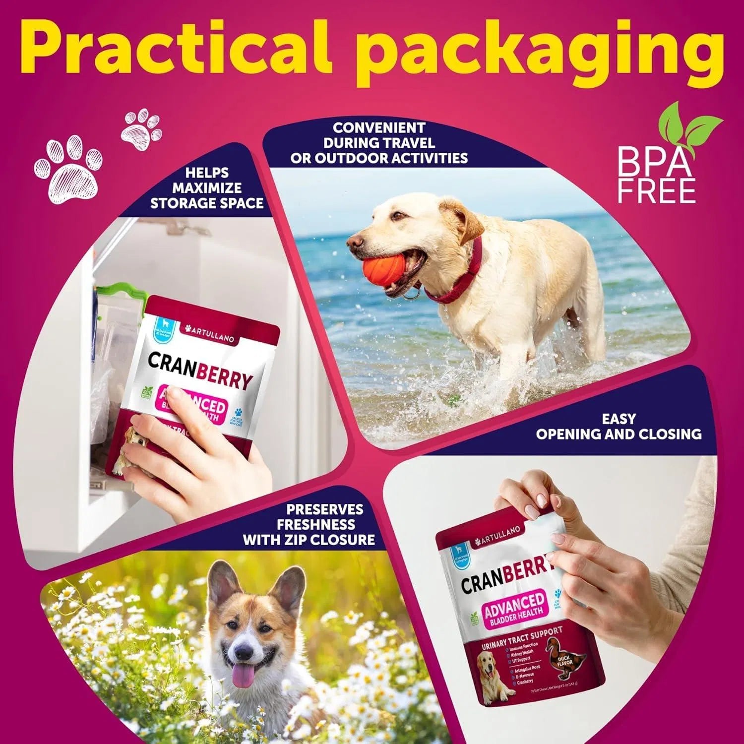 Dog UTI Treatment Cranberry Supplement