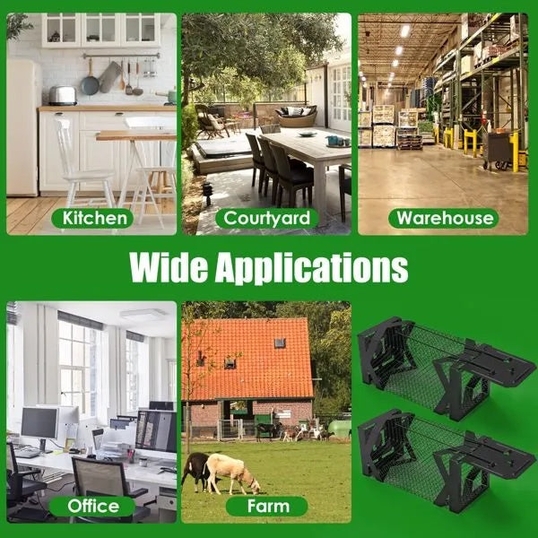 Humane Mouse Trap Cage, Non-Lethal No ElectricityGlueChemicals, Heavy Duty 1.15mm Metal