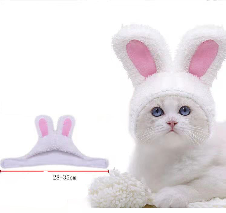 Lion Hair Mane - Cute Bunny Ears - Happy Birthday Hat - Blue Bear - Pet Cosplay Costumes
