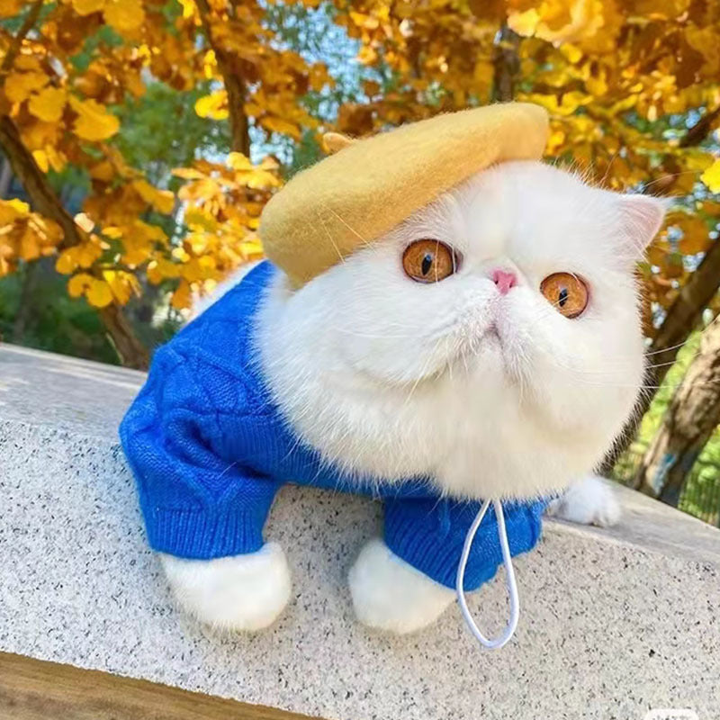 Multicoloured Spring Summer Breathable Pet Products Pet Hat