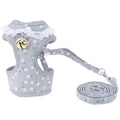 Pet Harness Vest and Leash