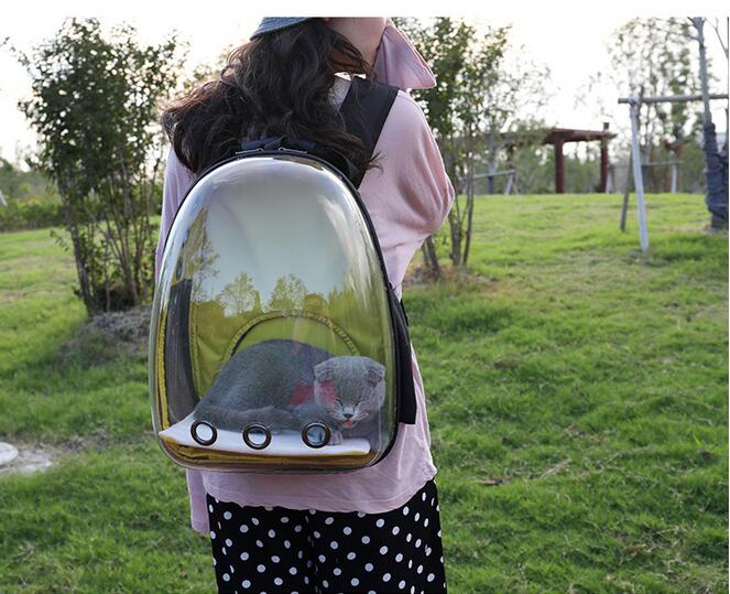 Transparent Pet Backpack