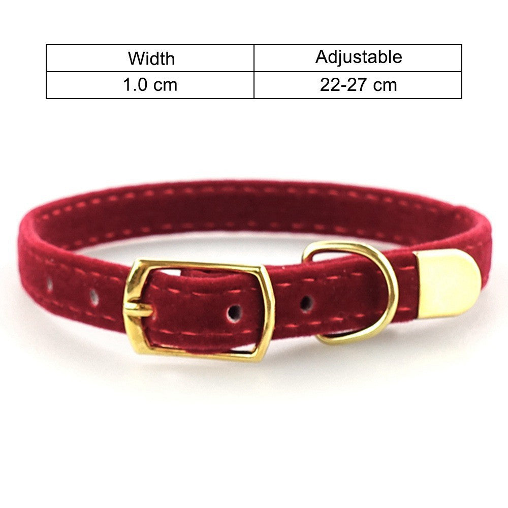 Colorful Cat Collar