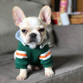 Pet Sweater