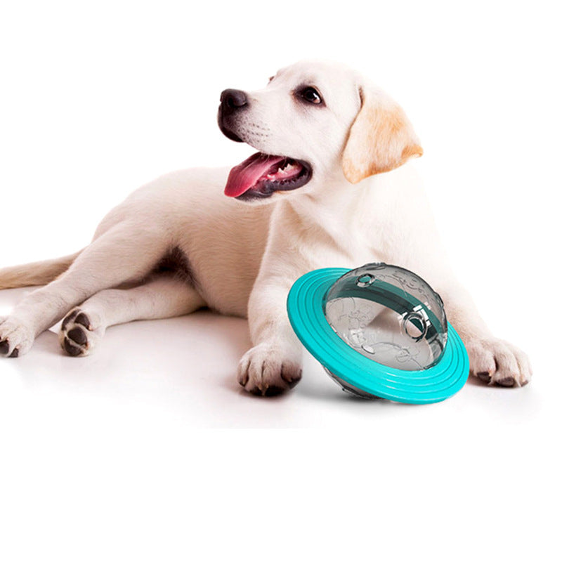 Pet Food Educational toys Pet Slow Feeders