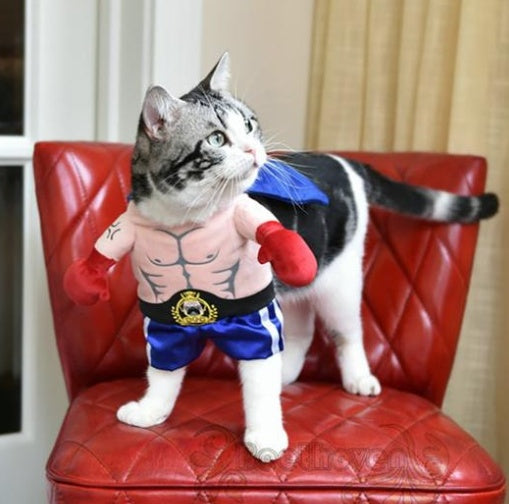 Boxer Cat Costume Pet Costume