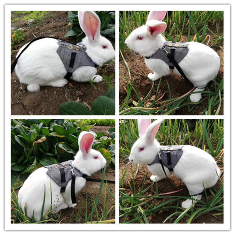 Rabbit leash rabbit dress pet leash