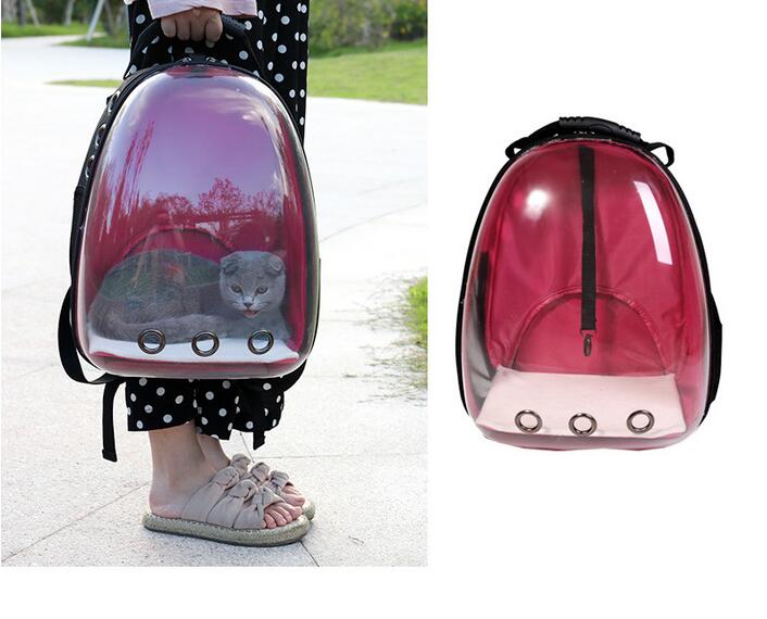 Transparent Pet Backpack