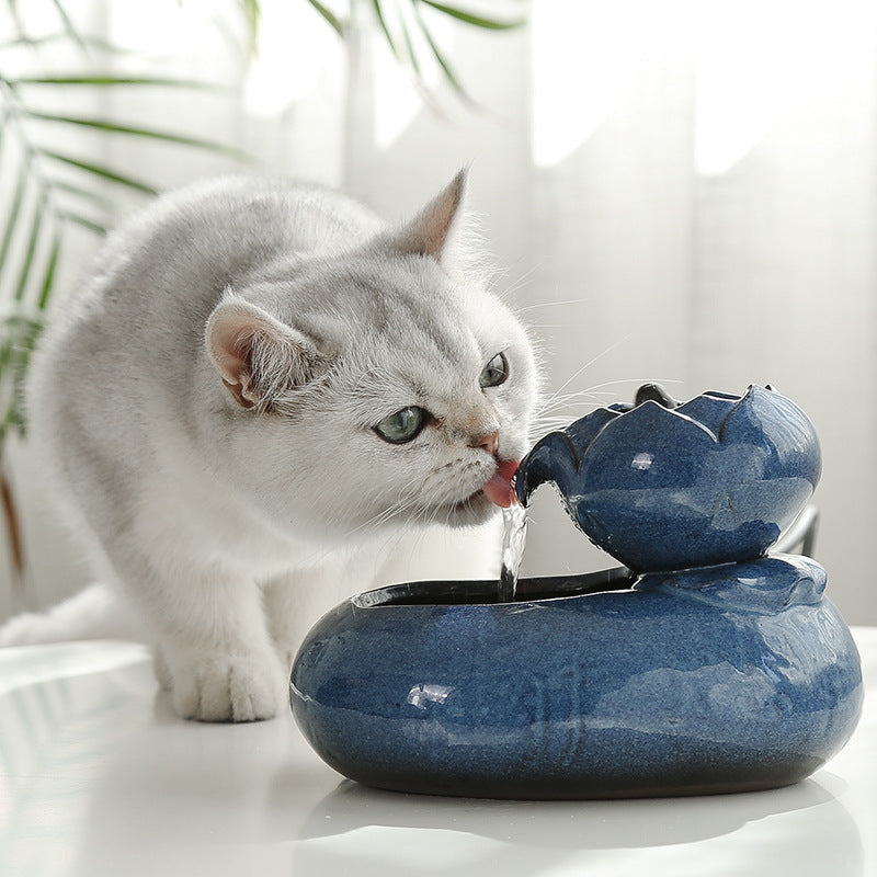 Cat Water fountain Pet Water Feeder