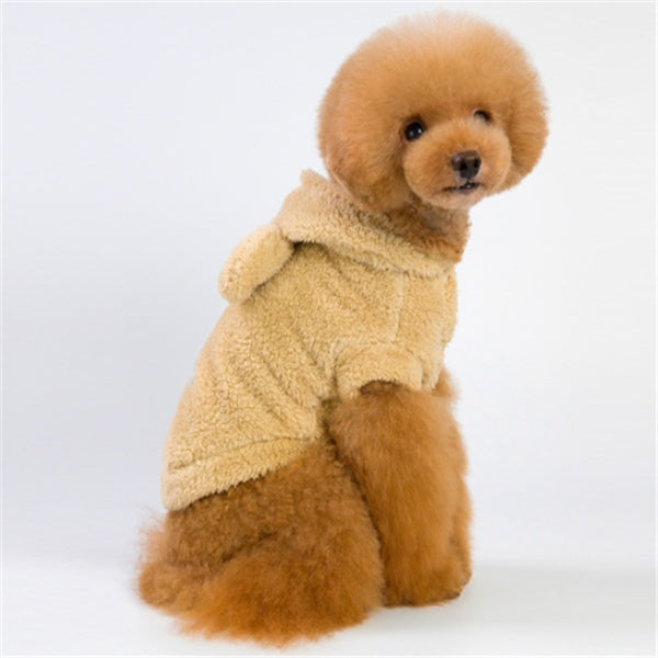 Pet Clothes