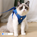 Anti-strike Traction Cat Harness Vest