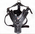 Handmade Genuine Leather Dog Harness Durable Strong Pet Harness
