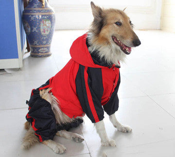 Large Dog Raincoat