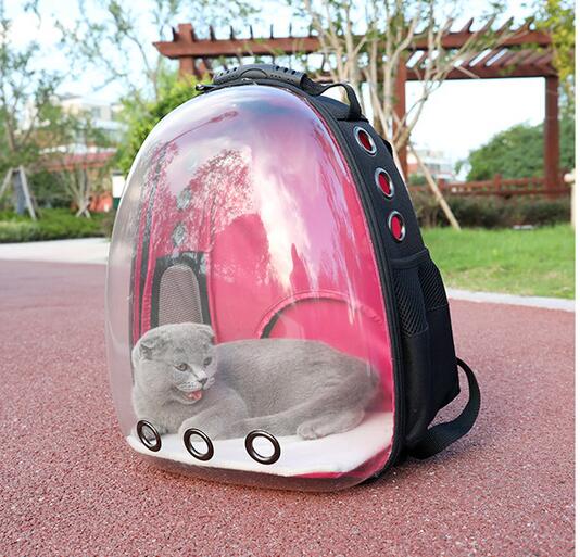 Transparent Pet Backpack