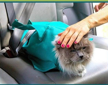 Breathable Pet Travel Shoulder Bag Pet Out Carrier