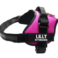 Pet Chest Harness Dog  Harness Vest