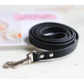 Pet Leashes