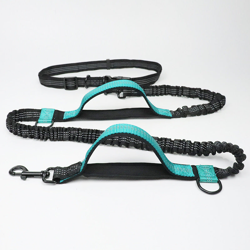 Double Elastic Handfree Dog Leash