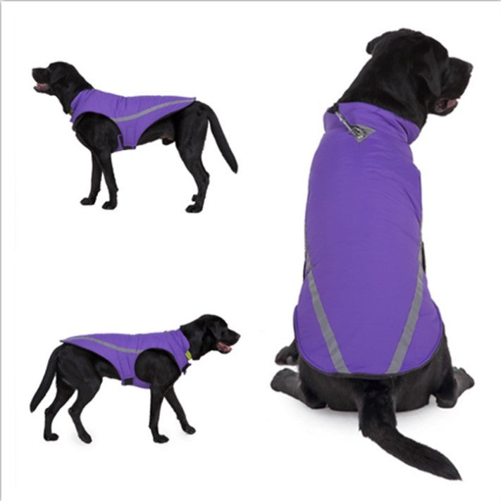 Dog Winter Coats Dog Autumn & Winter Clothes