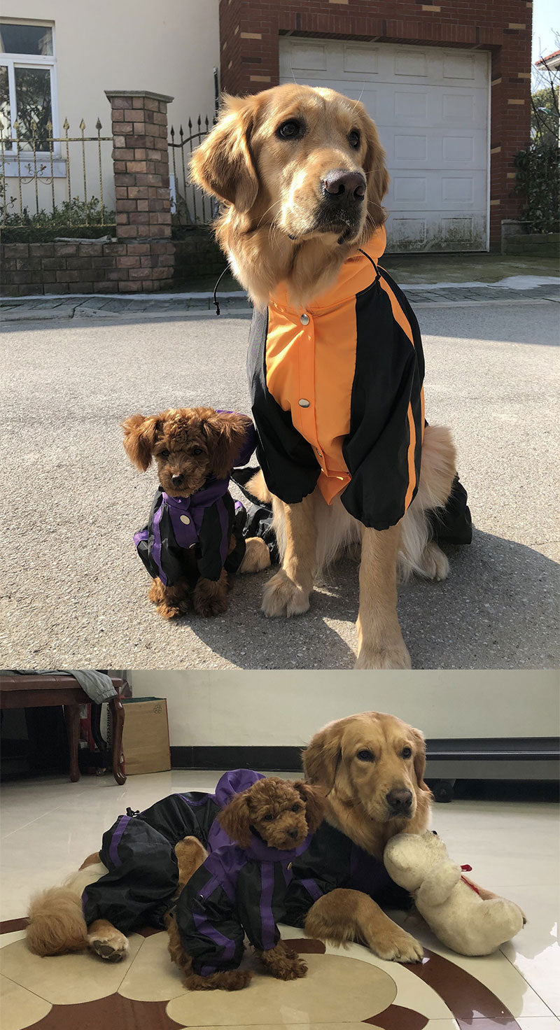 Large Dog Raincoat