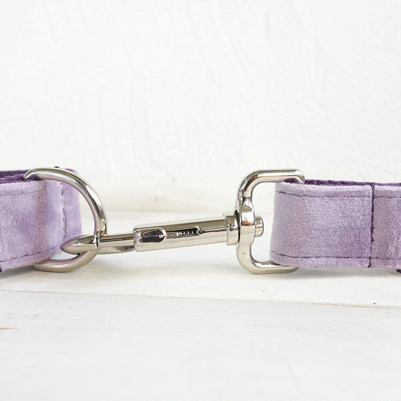 Pet Traction Belt Set