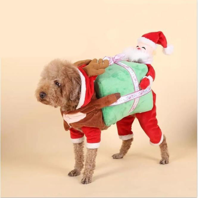 Christmas Dog Clothes