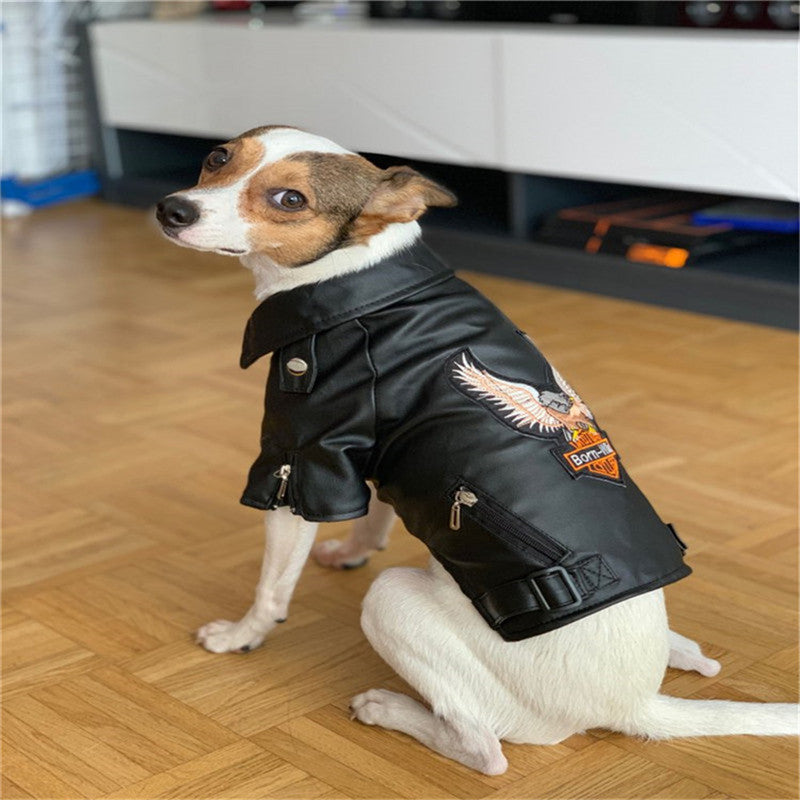 Small Dog Sticker Embroidered Eagle Leather Jacket