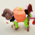 Pet Costumes Halloween Pumpkin Decorations For Dog