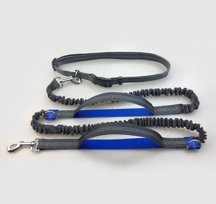 Double Elastic Handfree Dog Leash