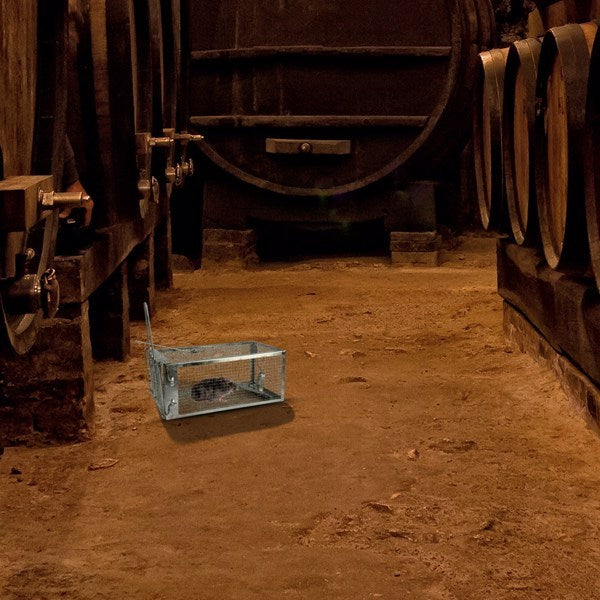 Mouse Trap, Galvanized Iron Mouse Control Bait Catcher, Prohibited Platform Amazon