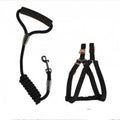Dog Strap Harness and Leash - Training