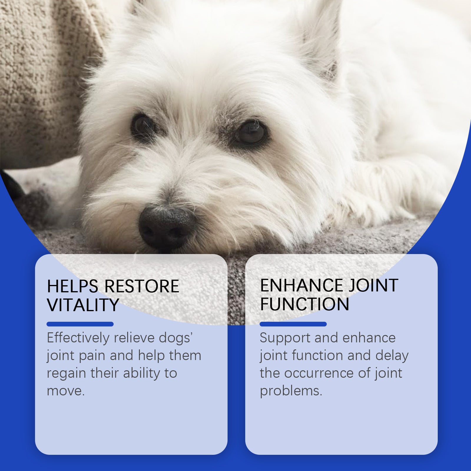 Dog Joint Supplements