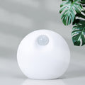 Smart Pet Deodorizer Home Air Purifer