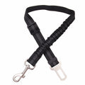 Dog Car Seat Belt