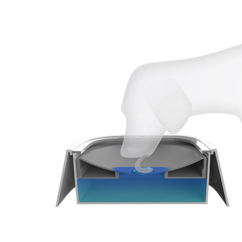 1.5L Dog Drinking Water Floating Bowl