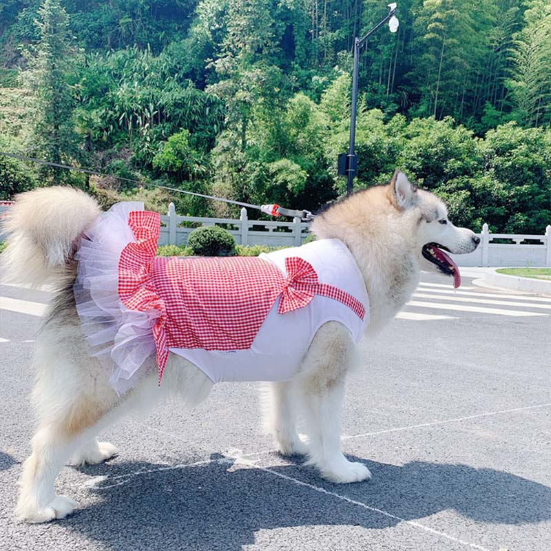 Princess Dog Dress