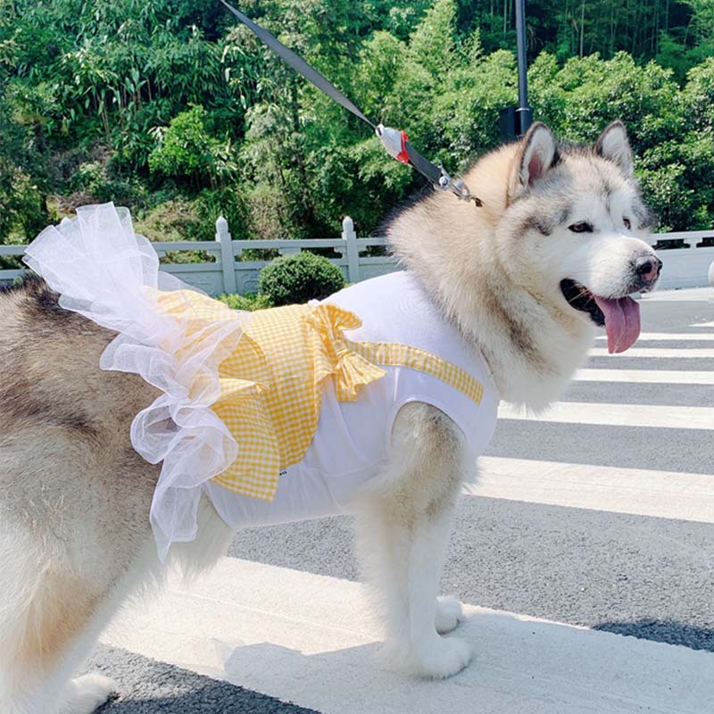 Princess Dog Dress