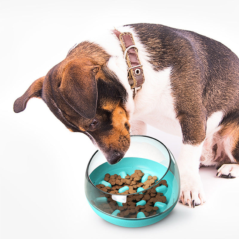 Space Capsule Dog Bowl - Slow Food Bowl Tumbler Cat Bowl
